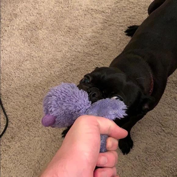 joshjam3s1